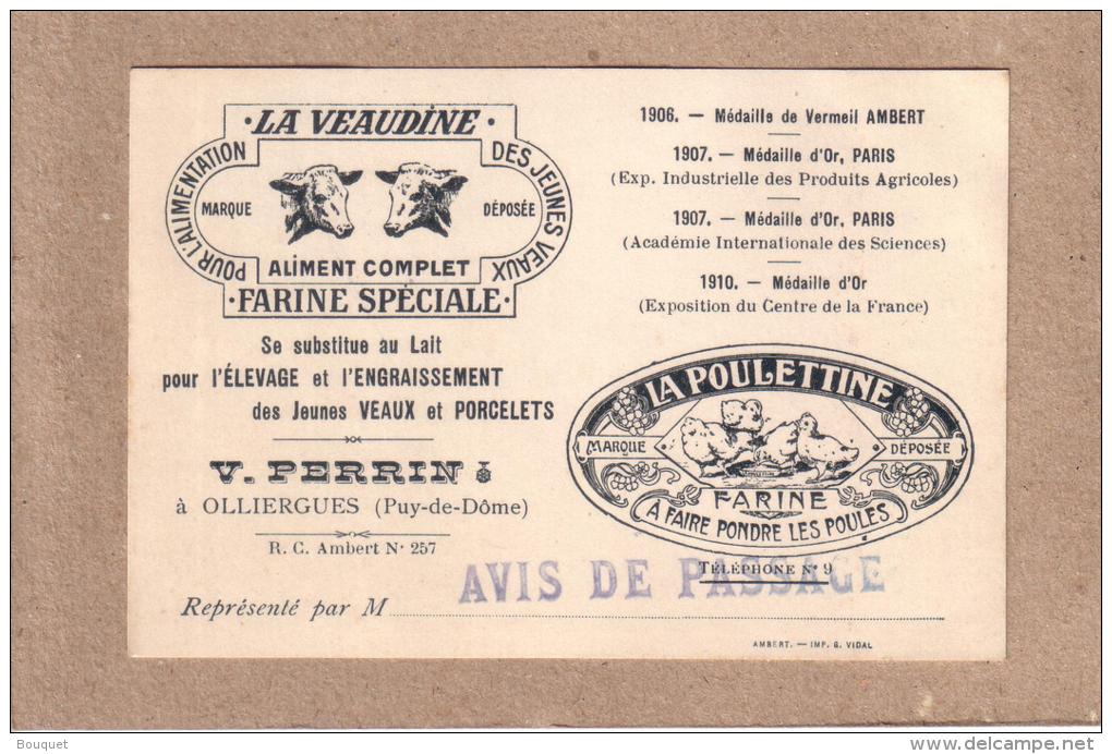 PUY DE DÔME - OLLIERGUES - CARTE DE VISITE - LA VEAUDINE - LA POULETTINE - VICTOR PERRIN - 120 X 80 Mm - Cartes De Visite