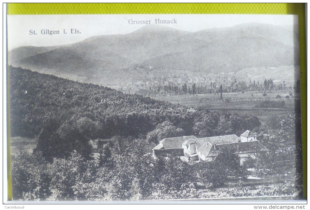 Cpa St Gilgen Pflixburg Wintzenheim Els Vue Panorama Grosser Honack Photo Felix Luib - Wintzenheim