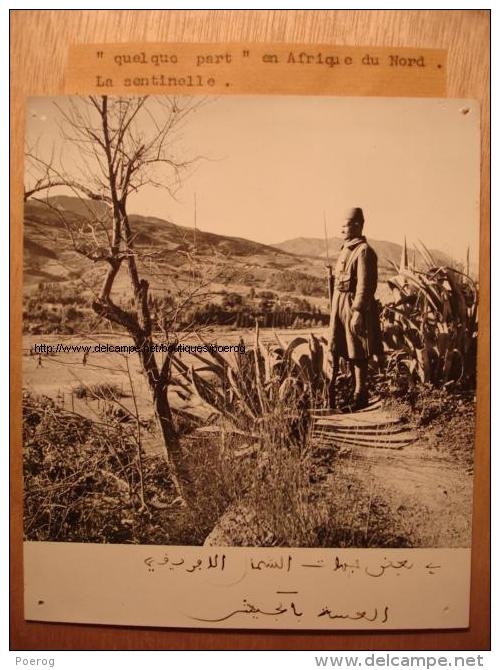 PHOTO 13X15 Années 1940-50 - LA SENTINELLE QUELQUEPART EN AFRIQUE DU NORD SOLDAT - TOAFN - TIRAGE D'EPOQUE - War, Military