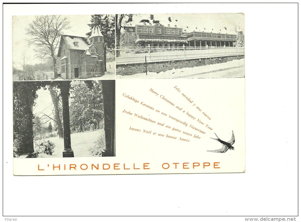 Oteppe Hirondelle Format CP Modrne ( Pas Un Dos CP ) - Burdinne