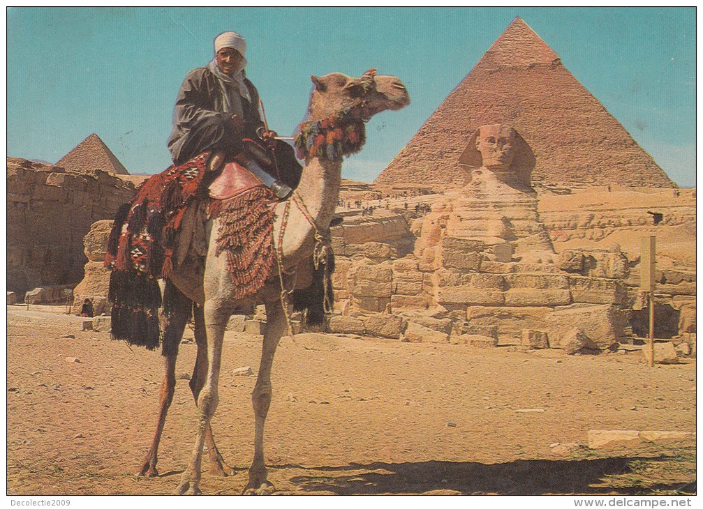 ZS50234 Giza Camel Driver Near The Sphinx And Khafre Pyramid   2  Scans - Guiza