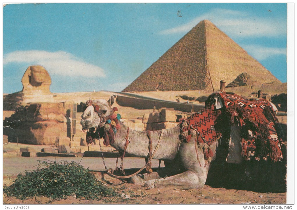 ZS50235 The Great Sphinx And Cheops Pyramid    2  Scans - Sphinx