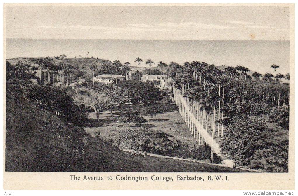 Barbados The Avenue To Codrignton College Old Used - Barbados