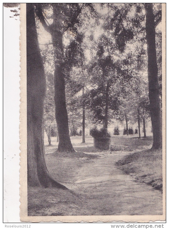 KAPELLEN / CAPELLEN : Huize Dennenburg - Kapellen