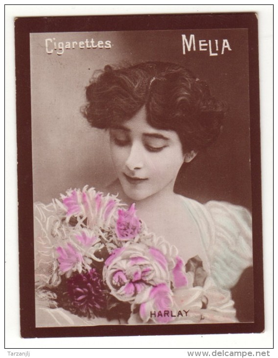 Photo Image Cigarette Mélia Alger "Harlay" - Melia