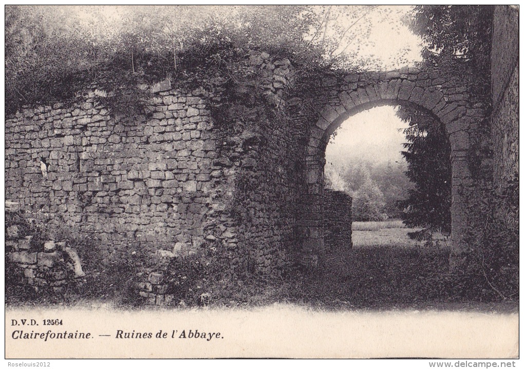 CLAIREFONTAINE : Ruines De L'abbaye - Arlon