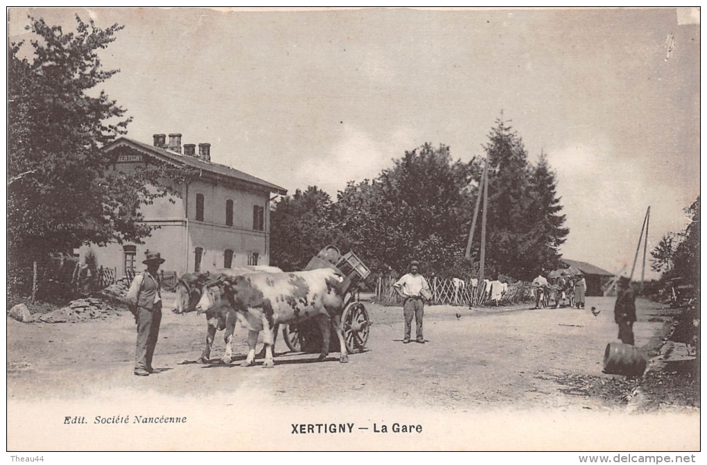 ¤¤  -  XERTIGNY   -  La Gare  -  Attelage De Boeufs   -  ¤¤ - Xertigny