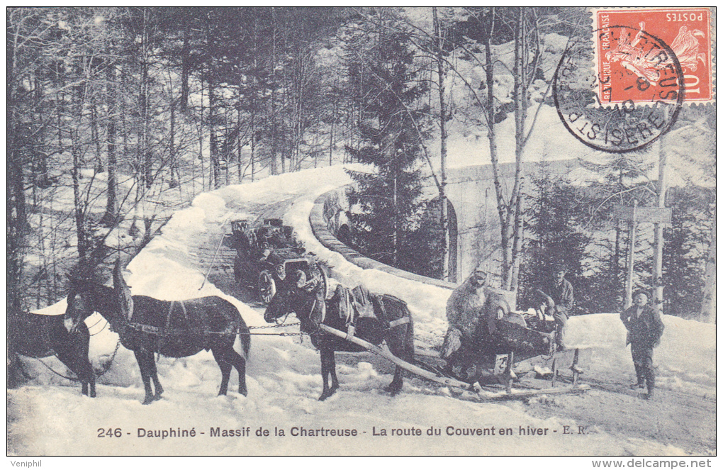 CARTE POSTALE- MASSIF DE LA CHARTREUSE-LA ROUTE DU COUVENT EN HIVER-1910 - Chartreuse