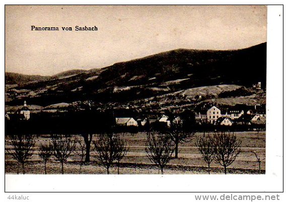 Panorama Von Sasbach     (Voir Scans: Recto Et Verso) - Sasbach