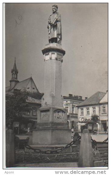 .BOCHNIA ( Pomnick Kazimierza ) - Pologne