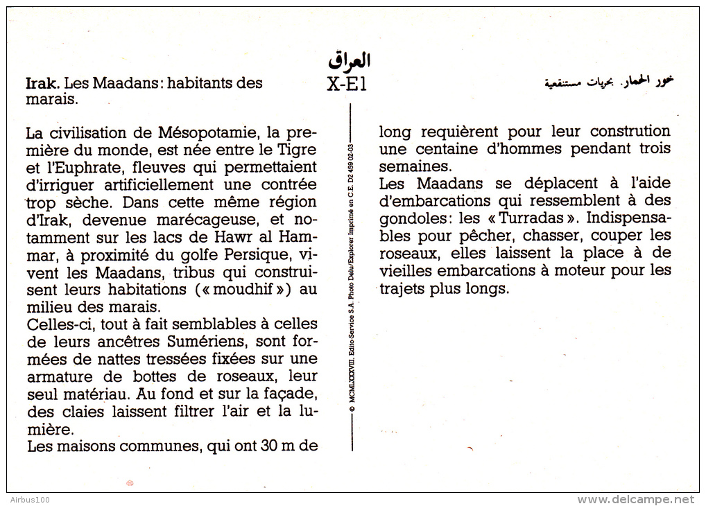 IRAQ - Les Maadans Habitants Des Marais - Texte Explicatif Au Verso - Non Circulée - 2 Scans - - Irak