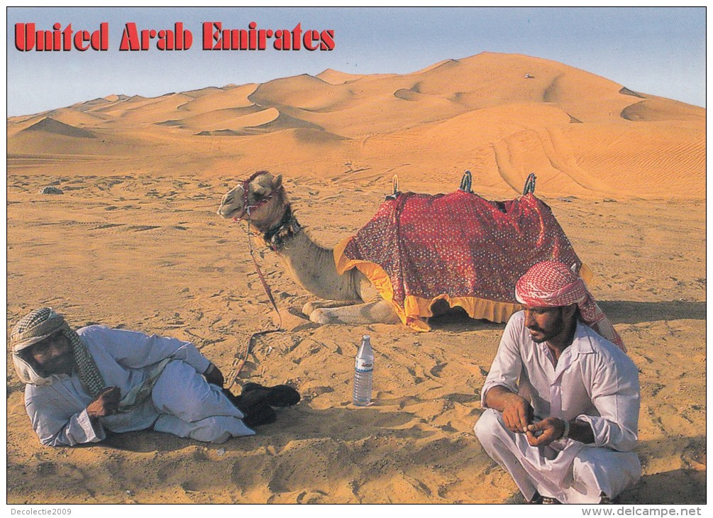 ZS42500 United Arab Emirates Chamel Camel    2  Scans - United Arab Emirates