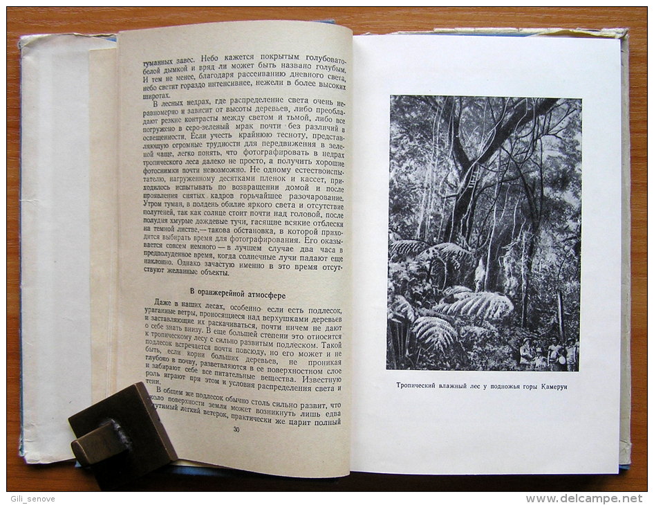 In The Twilight Of Tropical Forest By Herbert Butze / USSR (1956) - Slawische Sprachen