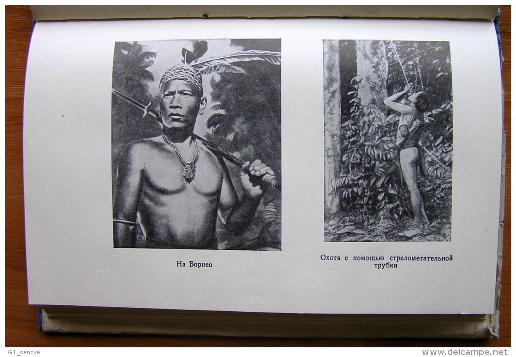 In The Twilight Of Tropical Forest By Herbert Butze / USSR (1956) - Langues Slaves