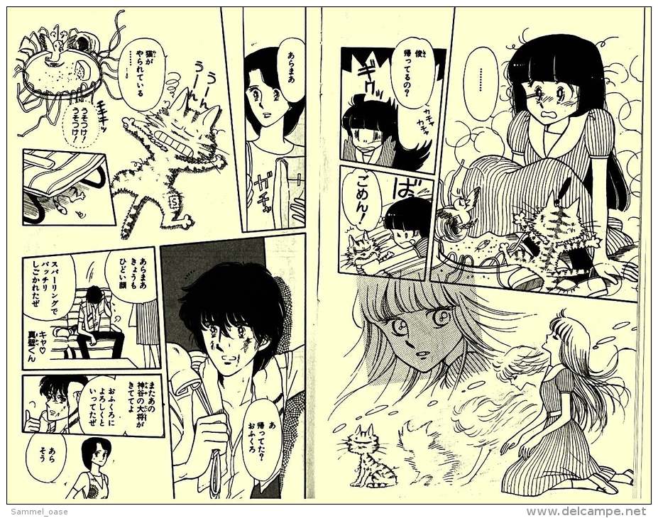 Ribon Mascot Comics  -  Manga Comic Graphic Novel Japanese Language Edition Von 1982 - Comics & Manga (andere Sprachen)
