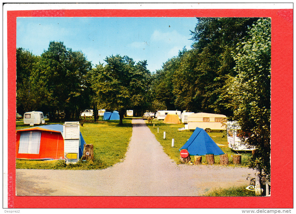 59 STEENVOORDE Cp Camping Les Ramiers   Edit Combier - Steenvoorde