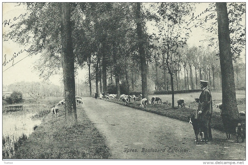 Ieper / Ypres - Boulevard Extérieur - Berger / Herder -1909 ( Verso Zien ) - Ieper