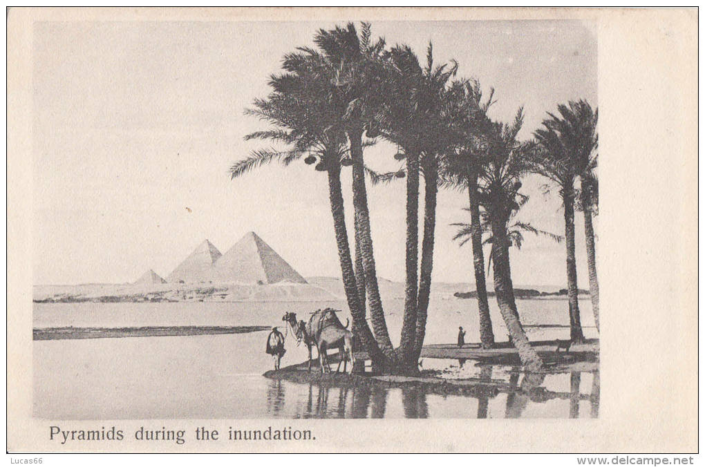 C1900 - INONDATION AUX PYRAMIDES - Pyramides