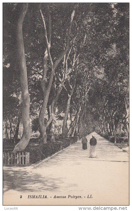 C1900 ISMAILIA - AVENUE POIRPRE - Ismailia