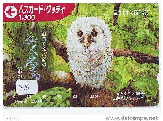 Carte Prépayée Japon Télécarte Japon Oiseau * HIBOU (1581)  * OWL * BIRD Japan Phonecard * TK * EULE * UIL * GUFO * BUHO - Eulenvögel