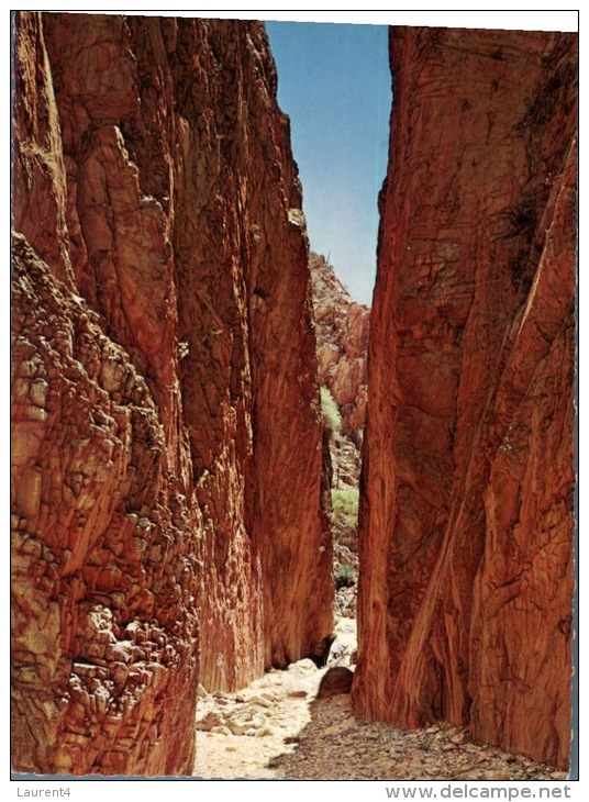 (5260 Australia - NT - Standley Chasm - Alice Springs