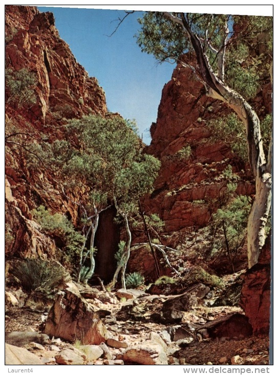 (5260 Australia - NT - Standley Chasm - Alice Springs