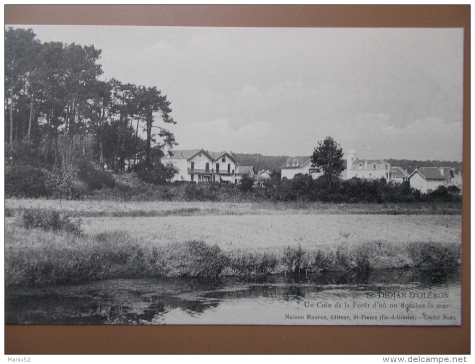 17 - ILE D'OLÉRON  - SAINT-TROJAN - Un Coin De La Forêt D'ou On Domine La Mer. - Ile D'Oléron