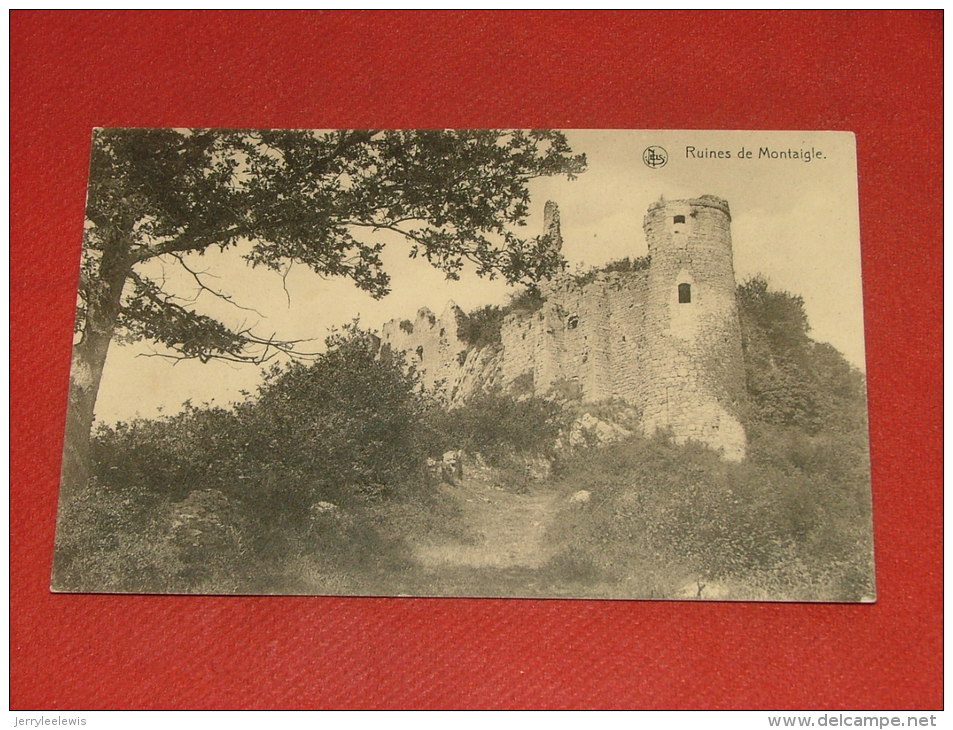 FALAËN  - Les Ruines De Montaigle - Onhaye