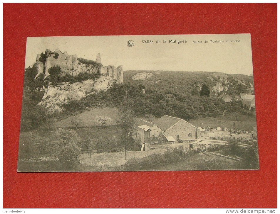 FALAËN  -  Vallée De La Molignée - Ruines De Montaigle Et Scierie  -  1917 - Onhaye