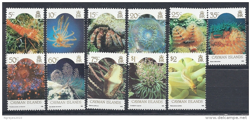 131008158  CAIMAN  ISLANDS  YVERT  Nº  586/97  (EXCEPT 597) **/MNH - Cayman Islands