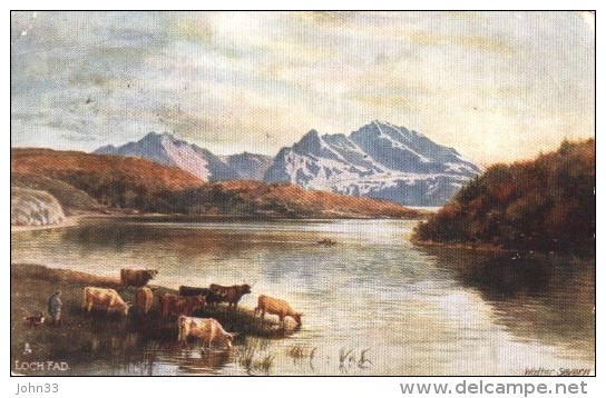 Walter Severn - Cattle On The Banks Of Loch Fad In Scotland  -   7167 - Tuck, Raphael