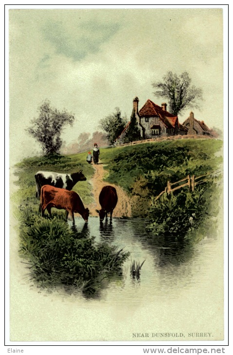 Rural Scene, Cottage, Cattle Grazing, Near Dunsfold, Surrey - Surrey