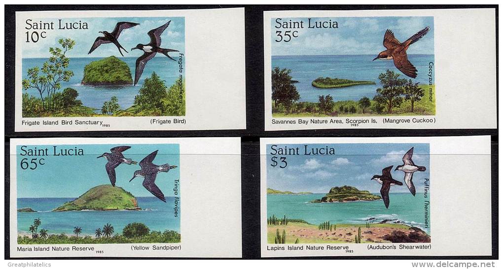 ST.LUCIA 1985 BIRDS Imperforated LARGE MARGINS SC#770-73 CV$24.00 - Marine Web-footed Birds