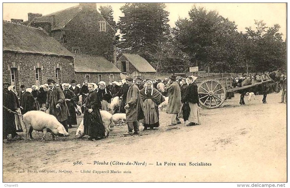 Repro D´une CP - PLOUHA (22) BRETAGNE - LA FOIRE AUX SOCIALISTES - TB REPRO - Plouha