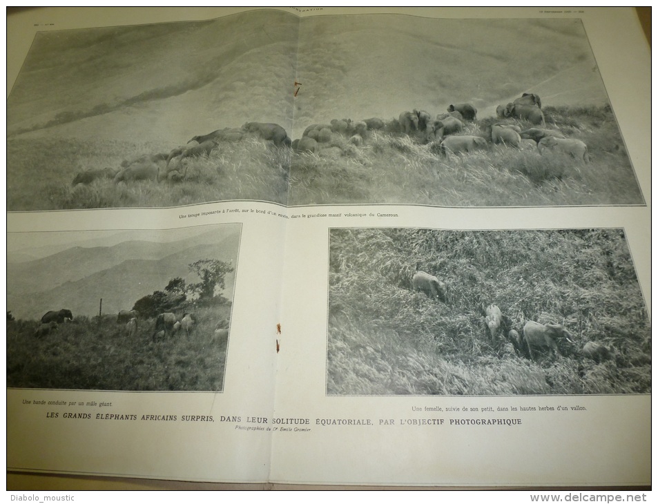 12.09.1925 : Les Belles Artistes De CADUM Avec Leur Photo Signée; Les Grands éléphants D'AFRIQUE En Photo Panorama - L'Illustration