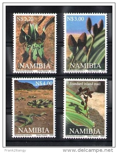 NAMIBIA 2000 - Flowers   Mi. 1023/26 Serie Cpl. 4v. Nuovo** Perfetto - Namibia (1990- ...)