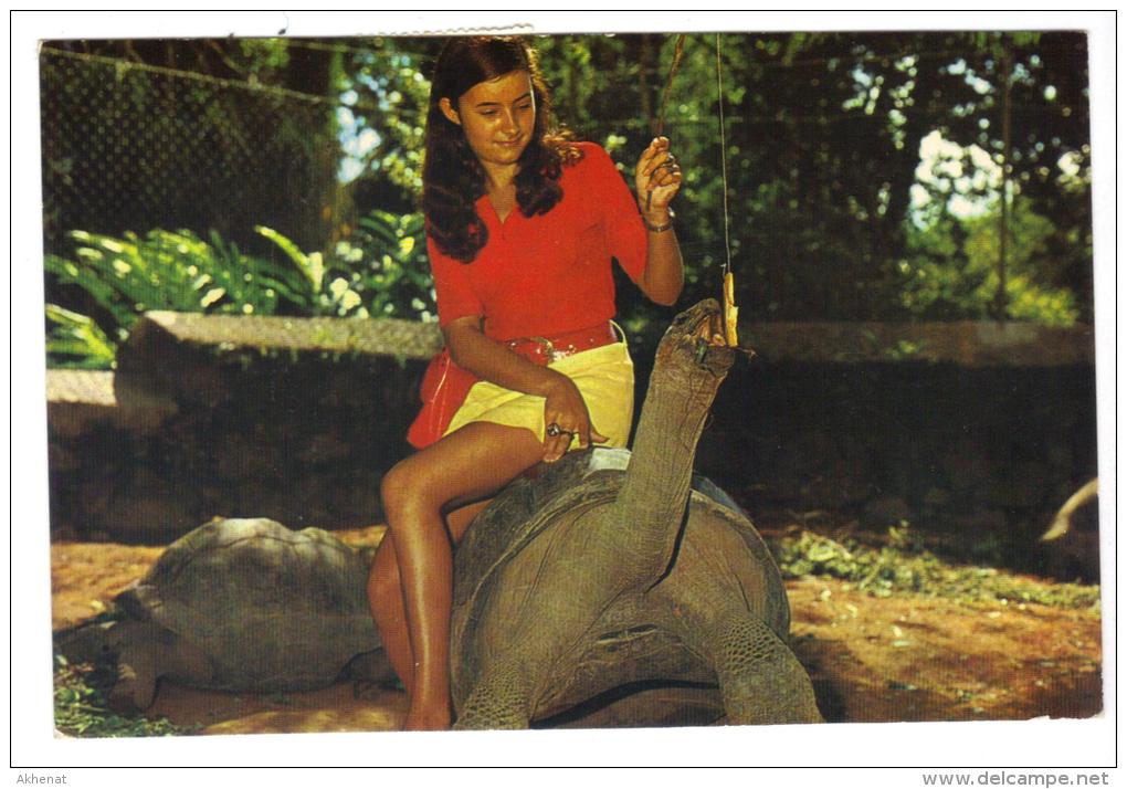 VER3084 - SEYCHELLES 1974 , Cartolina (GIANT TORTOISE) Per L'Italia - Seychelles (1976-...)