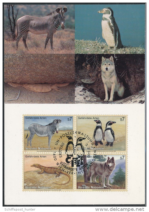 ANTARCTIC,Maximum-card, UN Wien , "Save The Penguins" ,First Day 3.3.1993, Look Scan !! - Preservare Le Regioni Polari E Ghiacciai