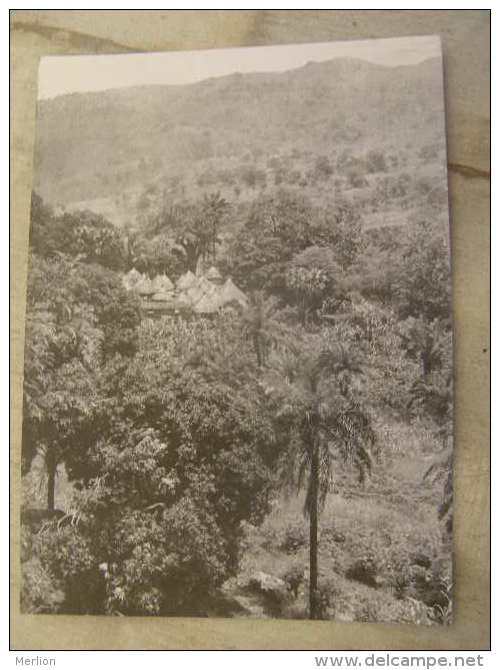 TOGO - Ferme Kabré      D110729 - Togo