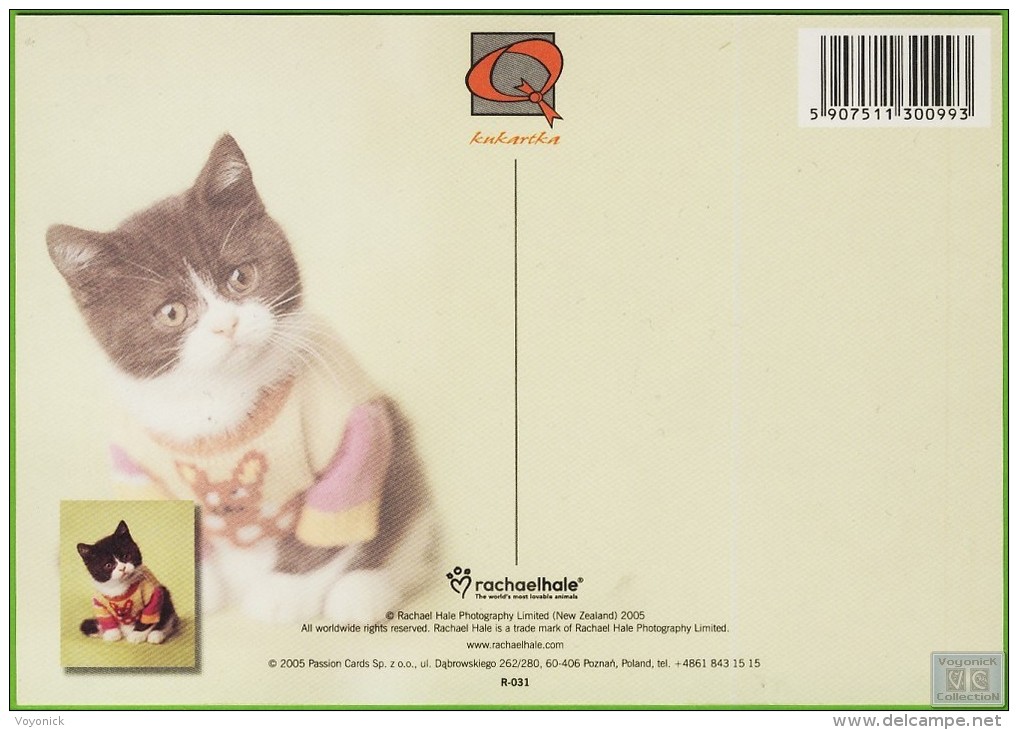 Voyo POLAND PULLOVER CAT - Rachael Hale 2005 MINT R-031 - Chats