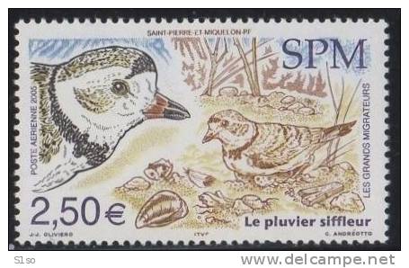 St PIERRE ET MIQUELON 2005 - PA 85 - Pluvier Siffleur - Neuf Sans Charnière - Côte 5,00 €uros - Nuevos