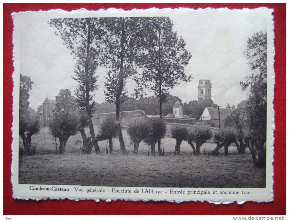 BELGIQUE - CAMBRON - CASTEAU - VUE GENERALE - ENCEINTE DE L´ABBAYE - ENTRE-  " FOTO WOUTEERS , AVERBODE " - CARTE RARE - - Brugelette