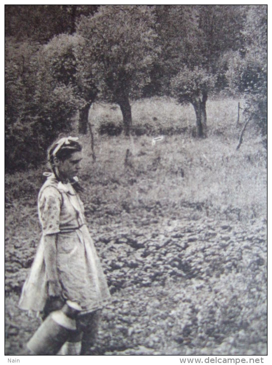 BELGIQUE - CAMBRON - CASTEAU - LA VALLEE DE LA DENDRE - LAITIERE -  " FOTO WOUTEERS , AVERBODE " - CARTE RARE - - Brugelette