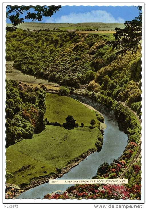 SYMONDS YAT : RIVER WYE FROM YAT ROCK   (10 X 15cms Approx.) - Herefordshire