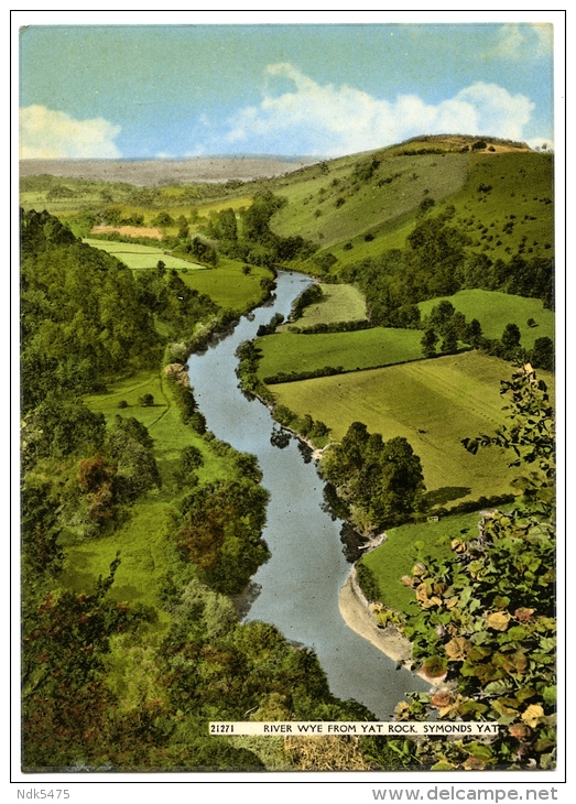 SYMONDS YAT : RIVER WYE FROM YAT ROCK   (10 X 15cms Approx.) - Herefordshire