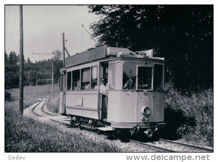 Tramways De Lausanne à Moudon, Train Entre Marin-Vers Chez Les Blanc, Photo Retirage BVA TL 5 E - Lausanne