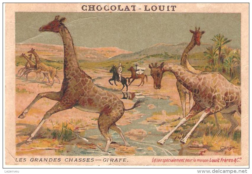 CHOCOLAT LOUIT  CHROMO LES GRANDES CHASSES GIRAFE ( Déchirure Bord INFERIEUR) - Louit