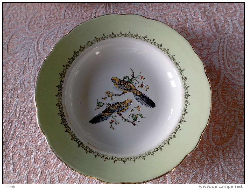 1 ASSIETTE CREUSE SOUPE ANCIENNE Signé K & G LUNEVILLE BADONVILLER DECOR OISEAU PERRUCHE Bord Vert - Lunéville (FRA)