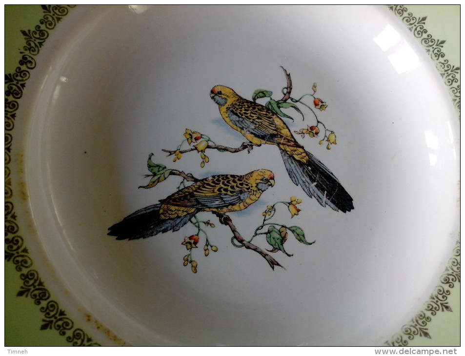 1 ASSIETTE CREUSE SOUPE ANCIENNE Signé K & G LUNEVILLE BADONVILLER DECOR OISEAU PERRUCHE Bord Vert - Lunéville (FRA)