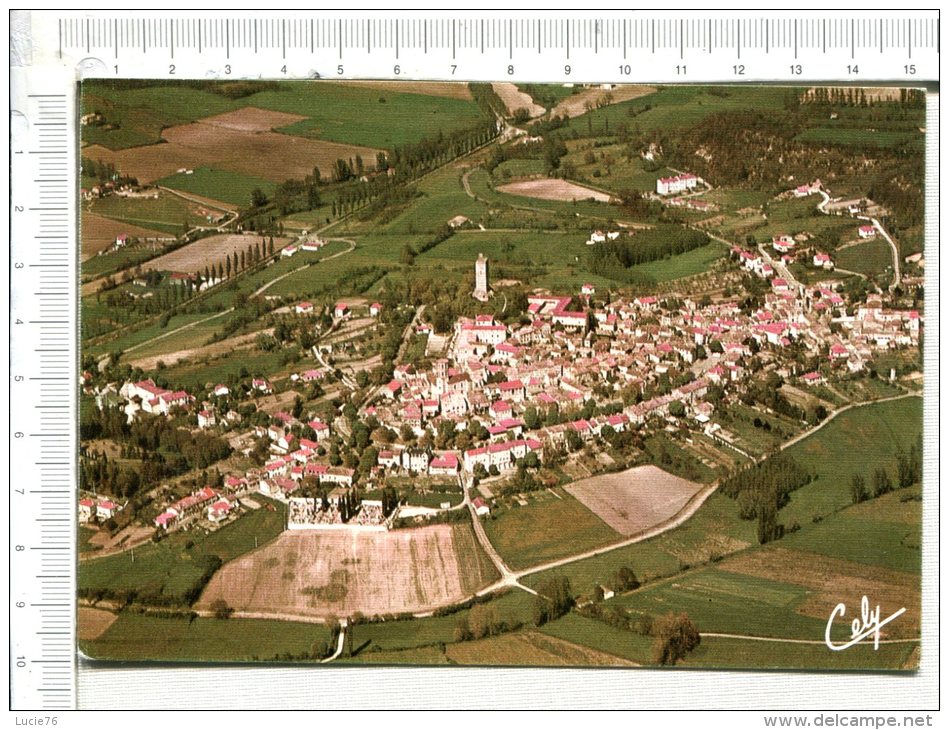 MONTCUQ -  Vue Générale - Montcuq